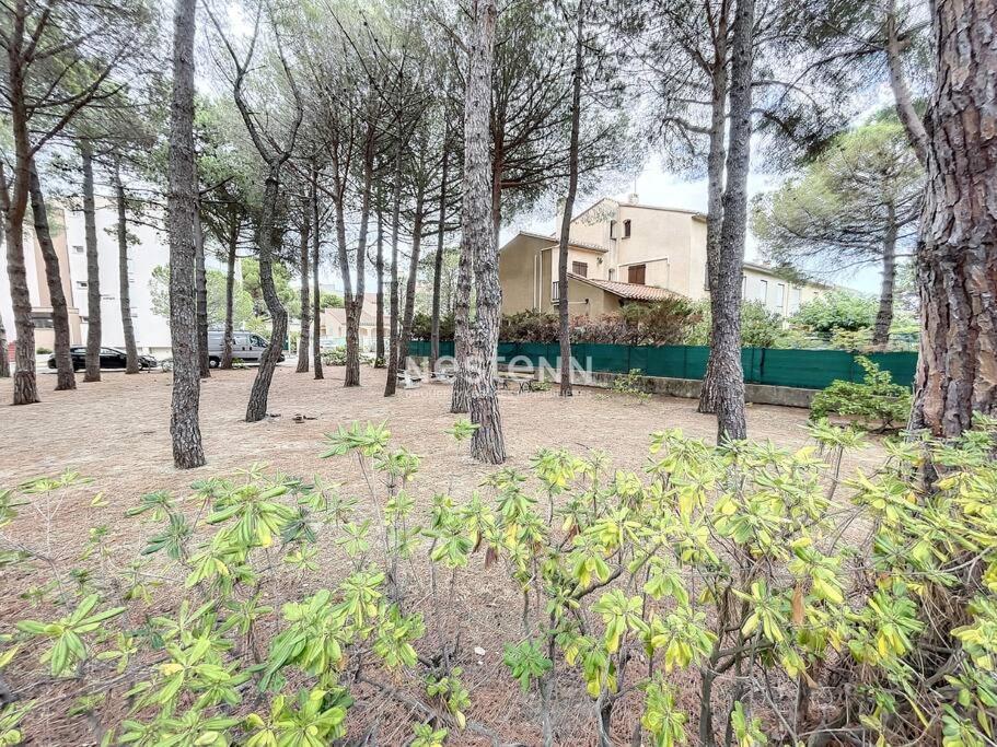 ארגלס-סור-מר 2980-Appartement 1 Ch A 100M De La Mer מראה חיצוני תמונה