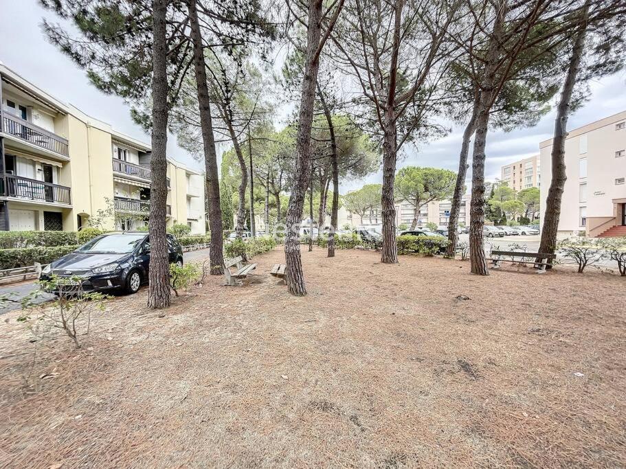 ארגלס-סור-מר 2980-Appartement 1 Ch A 100M De La Mer מראה חיצוני תמונה
